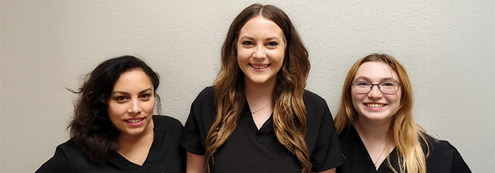 Group Photo of Office Staff for Team Page